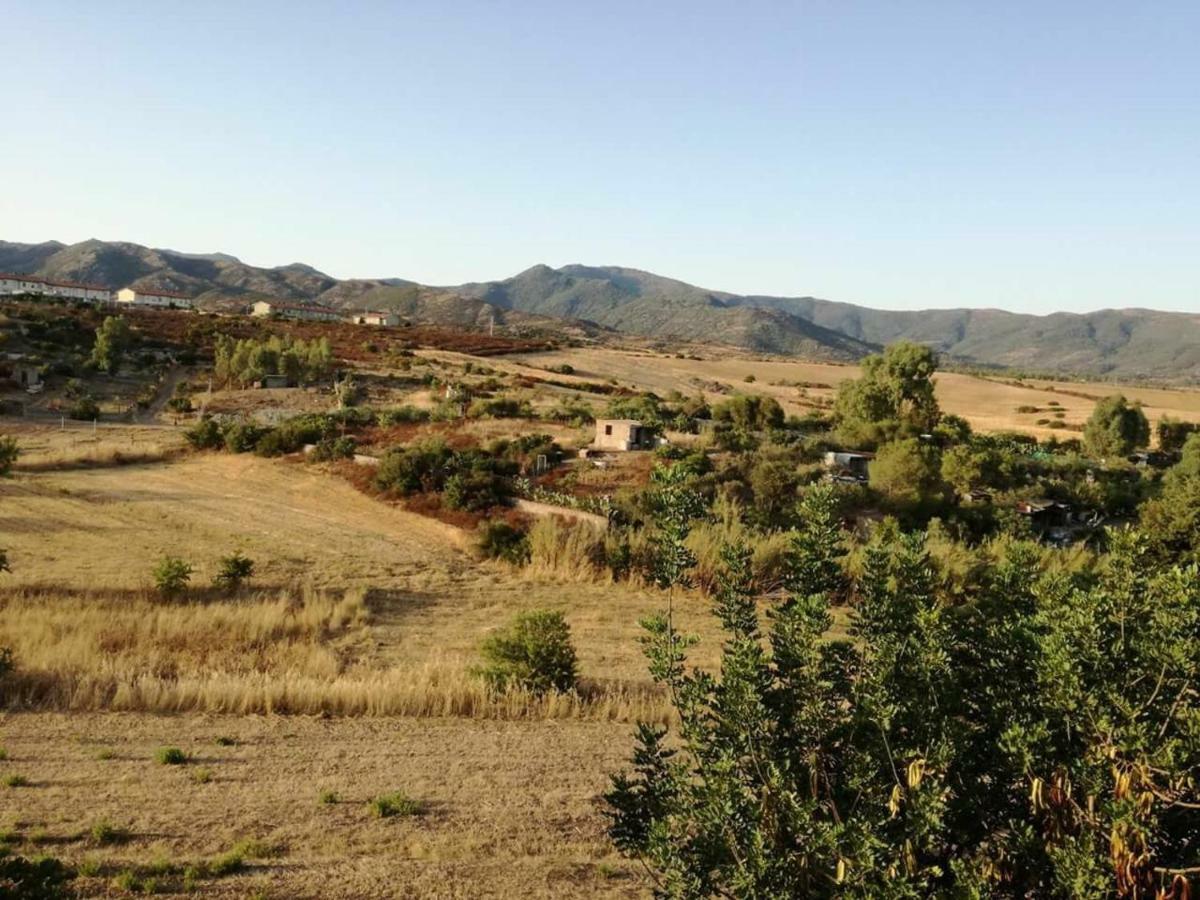 Casa Vacanza Il Mandorlo Domusnovas Kültér fotó